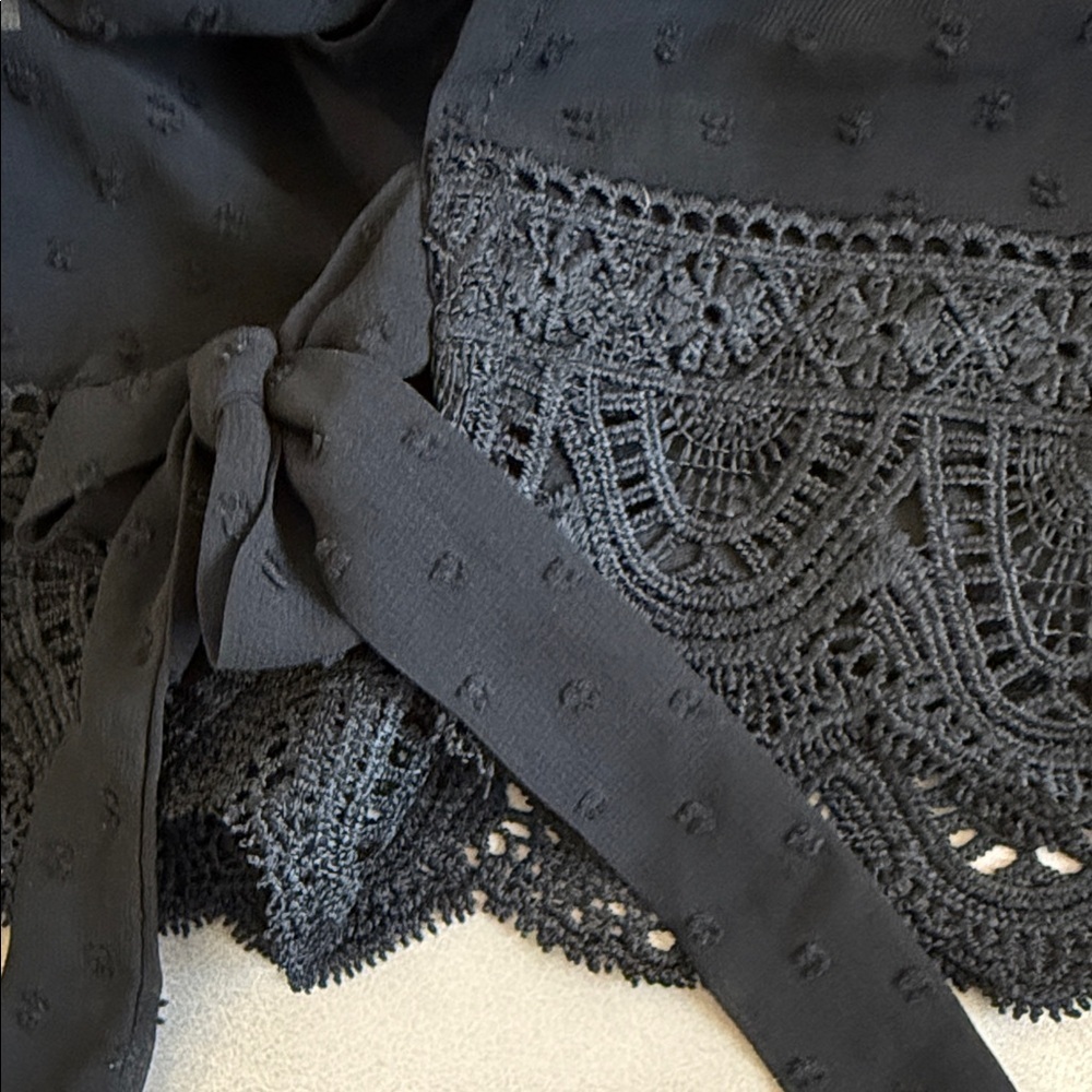 Francesca's Collections Open Back Black Lace Blouse - Picture 5 of 5